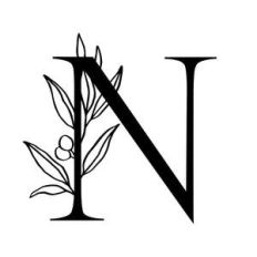 letter n alphabet initial monogram with olive branch