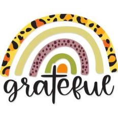 grateful leopard print rainbow