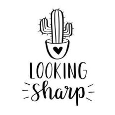 looking sharp cute cactus phrase