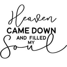 heaven came down and filled my soul