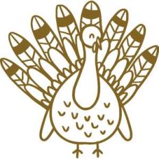 turkey illustration