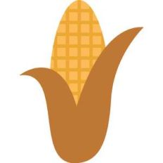 corn