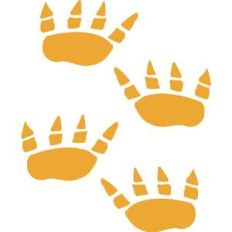 dino prints