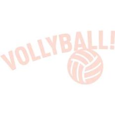 volleyball title