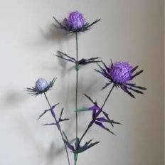 thistle
