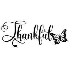 thankful butterfly word
