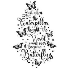 just when the caterpillar - butterfly