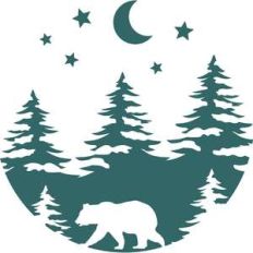 bear in the wood