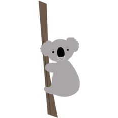 carta bella koala