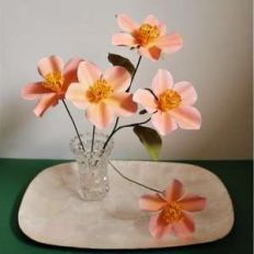 harmonia flower