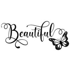beautiful butterfly word