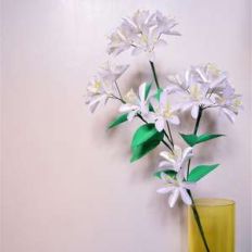 joei flower