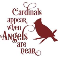 cardinals appear when angels are near