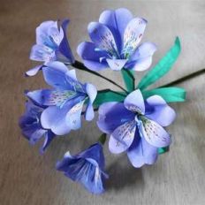 alstroemeria
