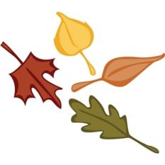fall leaves