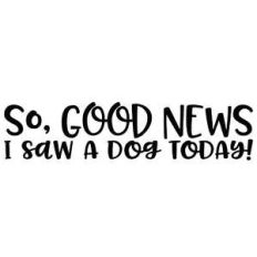 so, good news i saw a dog today quote