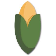 corn