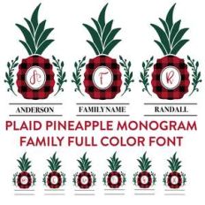 plaid pineapple monogram family full color font