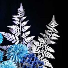 fern stalk