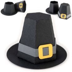 3d box - pilgrim hat