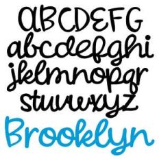 zp brooklyn