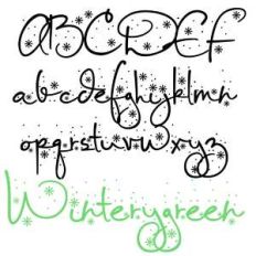 pn winterygreen