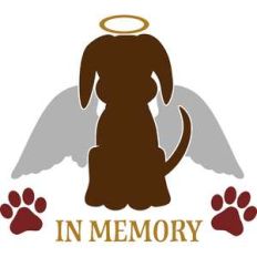in memory dog