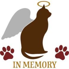 in memory cat