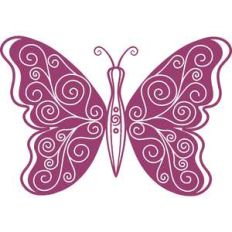 butterfly