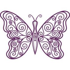 butterfly