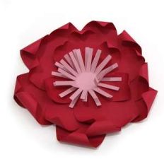 beautiful large starred 3d flower