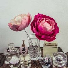 ombre peony