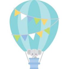hot air balloon