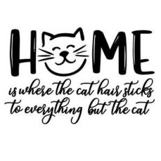 home is where the cat hair sticks