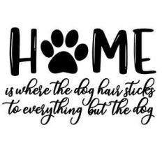 home is where the dog hair sticks