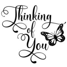 thinking of you butterfly quote