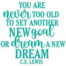 dream a new dream