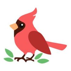 cardinal