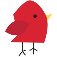 winter bird
