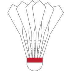 badminton birdie