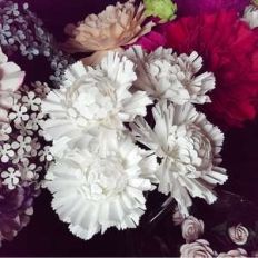 alina flower