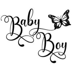 baby boy butterfly quote