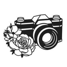 camera flowers
