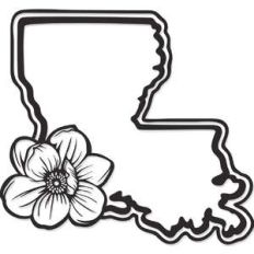 louisiana state magnolia