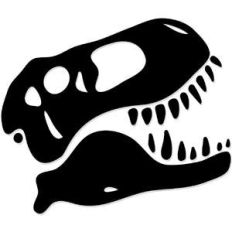 dinosaur fossil