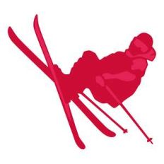 skier