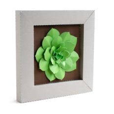 succulent frame