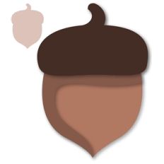 acorn