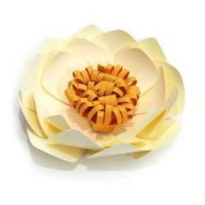 lorna 3d flower