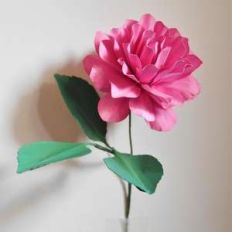 gregoria flower